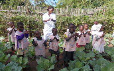 Progetto escolinhas – relazione attività 2013