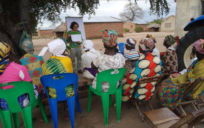 SOMiCa: tanti aggiornamenti!