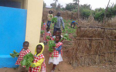 Progetto orti nelle escolinhas 2017!