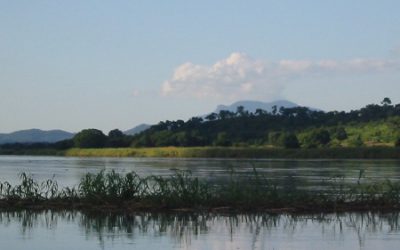 Giornata Internazionale del Risparmio Energetico