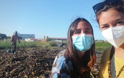 Então, o que você acha do Moçambique?