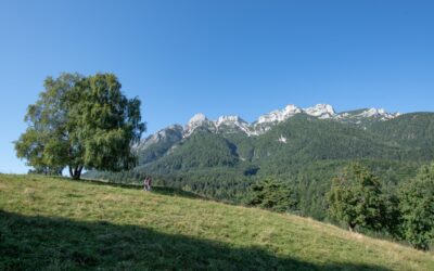 sCAMpagnata Solidale – Seconda Edizione!