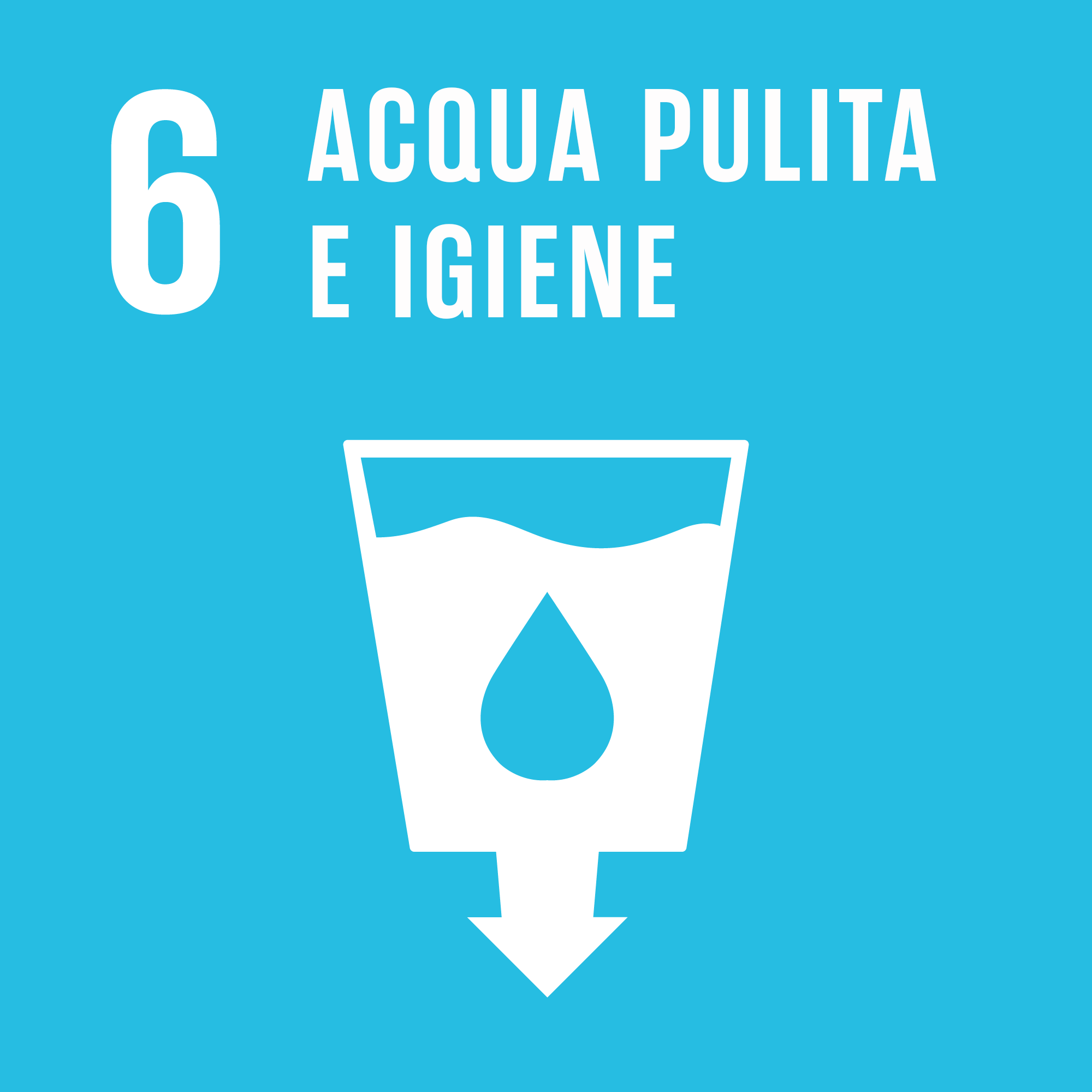 SDG6