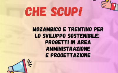 Nuovi progetti SCUP in area Amministrazione e Progettazione!