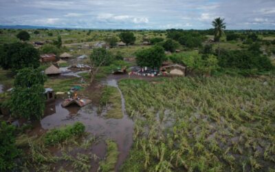 Le conseguenze del ciclone Freddy sull’economia di Caia, Marromeu e Cheringoma