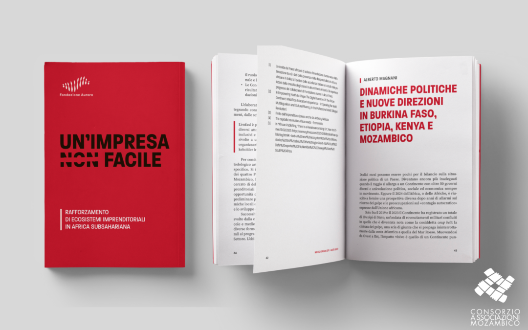 Rafforzamento degli ecosistemi imprenditoriali nell’Africa subsahariana: Un’impresa non facile