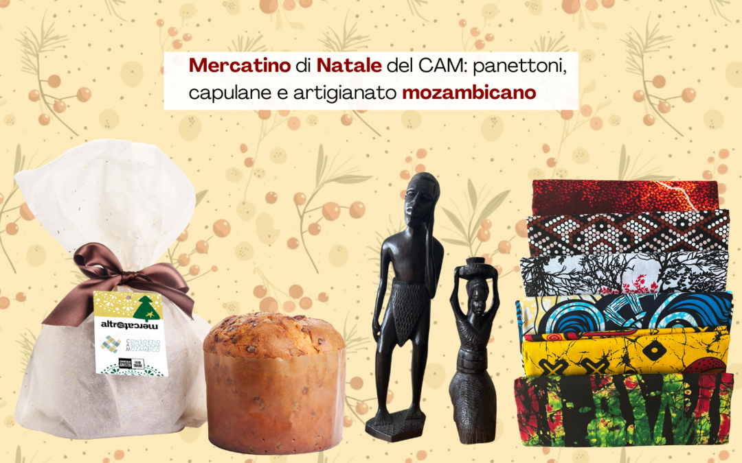 Natale solidale con il CAM: il panettone al cioccolato e tante altre proposte