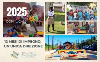 Ripercorrendo il nostro 2025