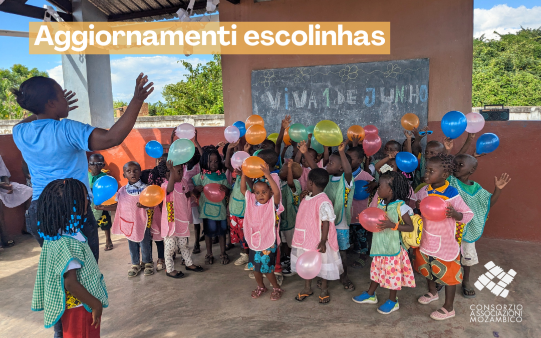 Escolinhas 2026: numeri, novità e prospettive del progetto